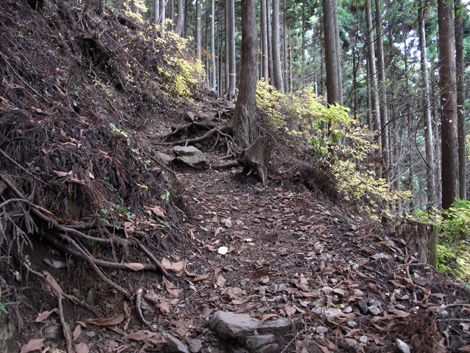 20151116hike (211)